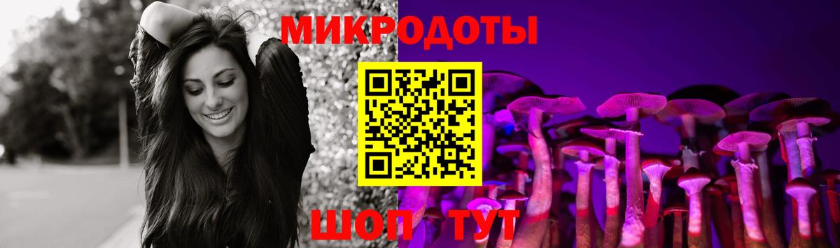 Галлюциногенные грибы Cubensis Междуреченск